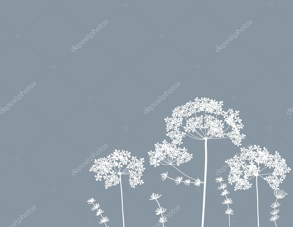 Vector illustration of queen anne's lace art flower floral line doodle  background Stock Vector by ©emiemismile 113456402, image size:1024x791