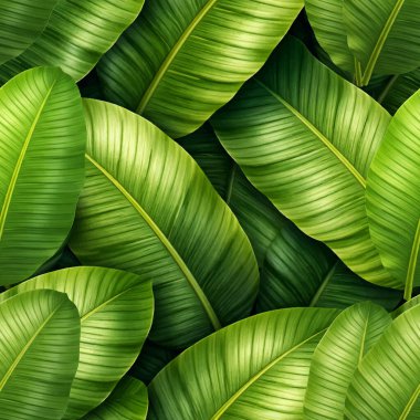 Gerçekçi yeşil muz yaprakları olan 3 boyutlu tropikal desen. Detaylı dokuları ve yemyeşil yaprakları olan modern tropikal bitki örtüsü. Tekstil ve duvar kağıdı için orman doğa vektörü.