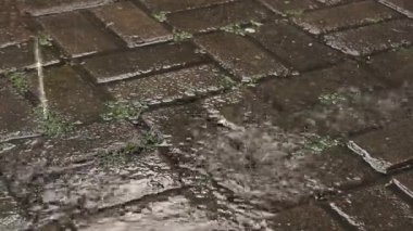 Yağmur damlalarını kapatın Yeşil Yosun ile kaplanmış eski püskü taş bloklara sıçrayan erozyon dokusu