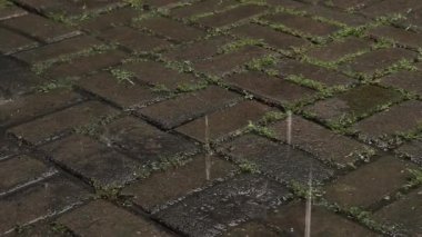 Yağmur damlalarını kapatın Yeşil Yosun ile kaplanmış eski püskü taş bloklara sıçrayan erozyon dokusu