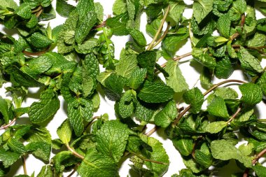 Naneli yapraklar arkaplan olarak kullanılıyor