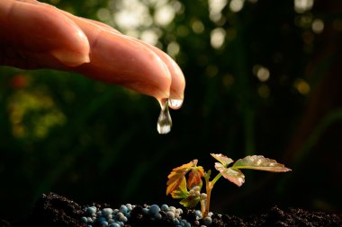  genç bitki sulama el