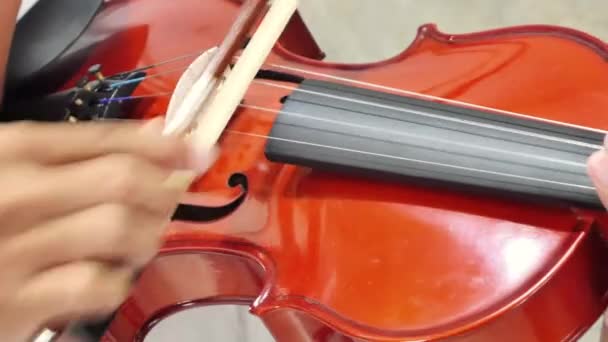 Gros plan d'un musicien jouant du violon, musique classique — Video