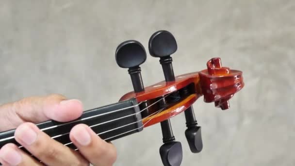 Крупный план музыканта, играющего на скрипке, классическая музыка — стоковое видео