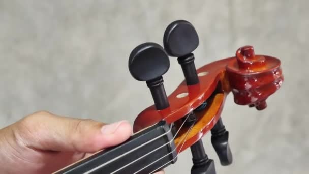 Gros plan d'un musicien jouant du violon, musique classique — Video