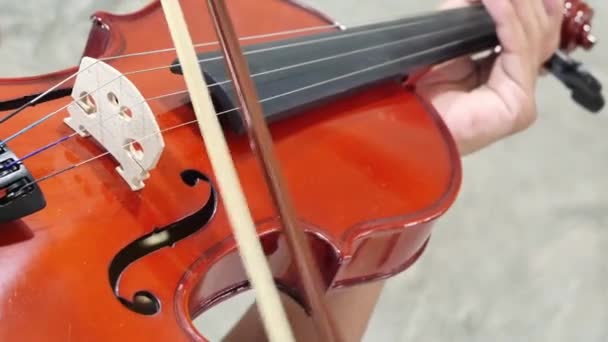 Nahaufnahme eines Musikers, der Geige spielt, klassische Musik — Stockvideo