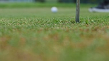 Golf oyuncu topu golf sahasında vurur.