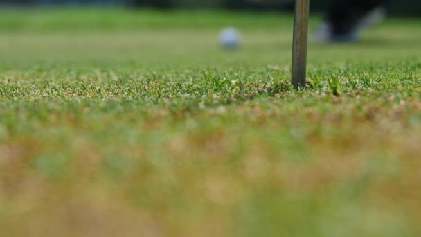 Jogador de golfe golpeia bola no campo de golfe — Vídeo de Stock