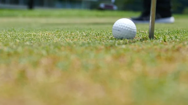 Игрок в гольф бросает мяч в лунку, видны только ноги и железо — стоковое фото