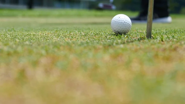 Гравець в гольф вставляє м'яч в дірку, тільки ноги і залізо, щоб побачити — стокове фото