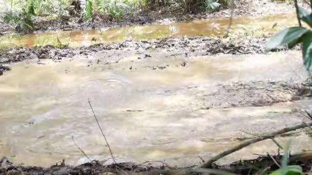 Napęd ATV poprzez kałuży błota — Wideo stockowe