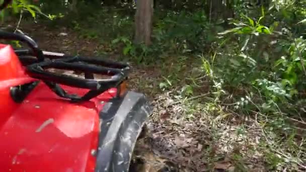 Geländewagen fahren durch Schlammpfütze — Stockvideo