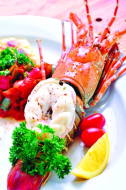 lezzetli phuket ıstakoz thermidor salata, closeup tasarım çalışma için