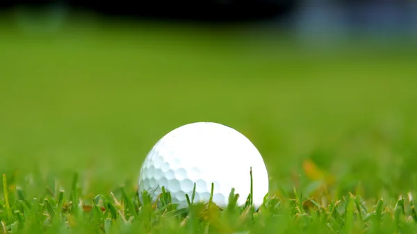 Golf-ball em curso — Fotografia de Stock