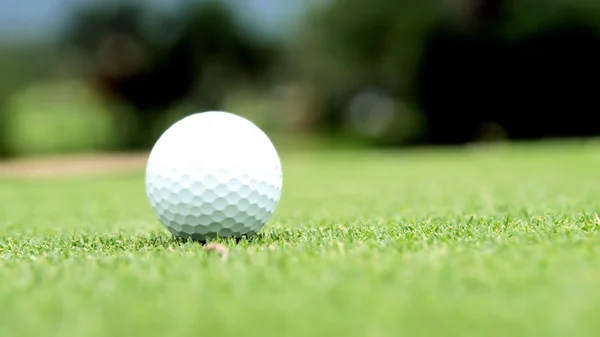 Golfball auf Kurs — Stockfoto