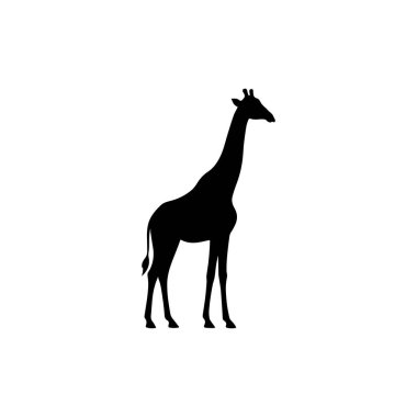 standing giraffe silhouette isolated on white background