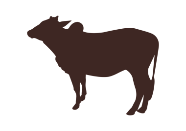 Ayakta duran ineğin silueti