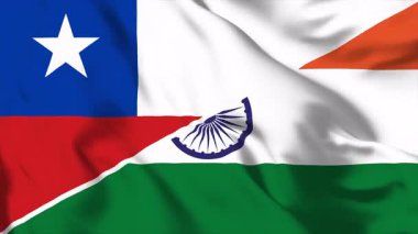 Şili ve Hindistan 'ın dostluğunu temsil eden iki ulusal bayrak birlikte sallanıyor. Diplomasiyi, uluslararası işbirliğini, kültürler arası ilişkileri simgeliyor.