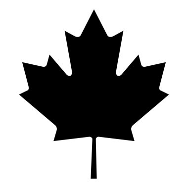 izole akçaağaç yaprağı