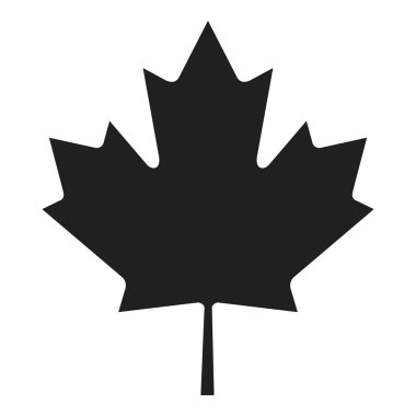 Akçaağaç yaprağı (gri beyaz)