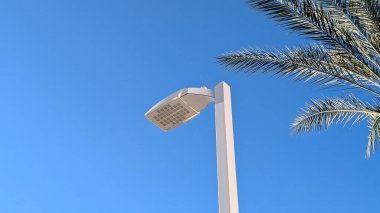 Enerji tasarruflu Modern LED sokak lambası beyaz direğe, palmiye yapraklarına ve mavi gökyüzüne monte edildi.