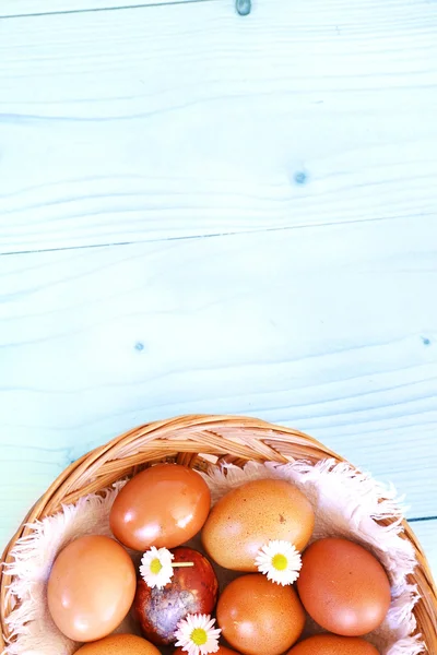 Yeşil çimlerde renkli Paskalya yumurtaları