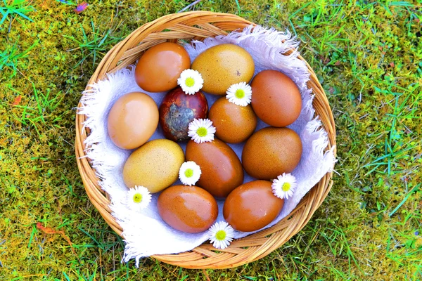 Yeşil çimlerde renkli Paskalya yumurtaları