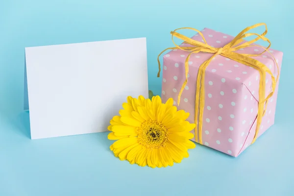 Coffret cadeau en pointillé rose, fleur de gerbera jaune et carte vide sur fond bleu . — Photo