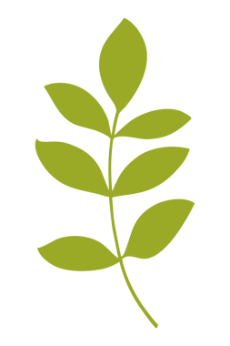 Sanatsal soyut çiçek şekli tasarımı. Çiçeksel doğa şekli illüstrasyonu.