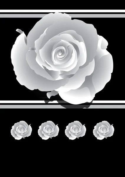 Background condolence with roses in black and white — Stock Photo, Image