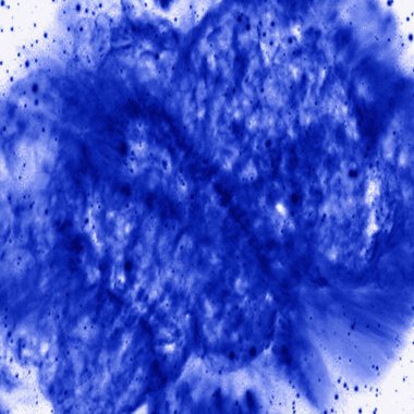 Modern ve orijinal dalma boyası, kravat boyası, batik ve yüksek çözünürlüklü beyaz tuval üzerinde shibori deseni.