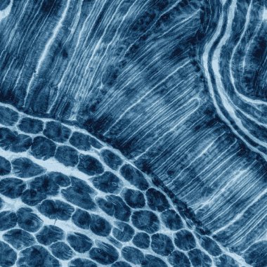 Modern ve orijinal dalma boyası, kravat boyası, batik ve shibori desenleri yüksek çözünürlüklü beyaz tuval üzerinde