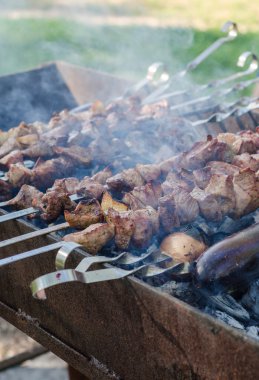 Adam yemek marine Şaşlık veya şiş kebap, tavuk eti üzerinde metal şiş ızgara, yakın çekim. Seçici odak