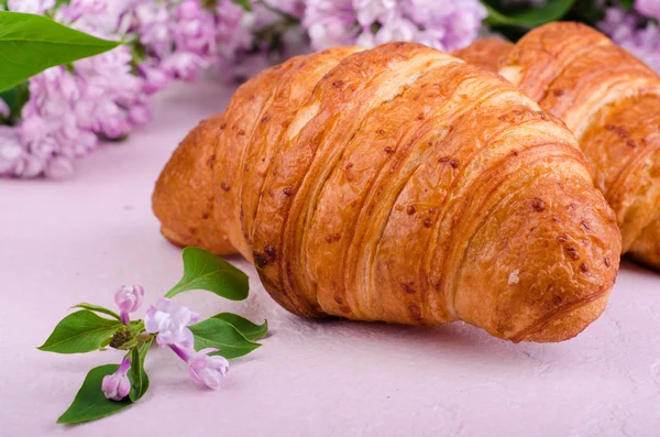 Closeup croissants with lilac flowers on pink slate background. Selective focus — Stock Photo, Image