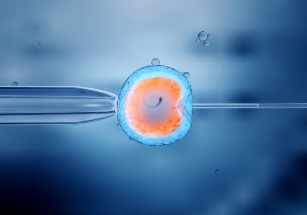 Künstliche Befruchtung oder Befruchtung einer Eizelle — Stockfoto