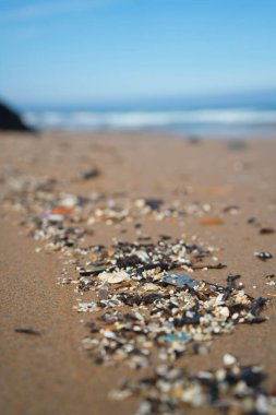 Plastik atıklar ve mikro plastikler Atlantik Okyanusu kıyısında yıkanmış.