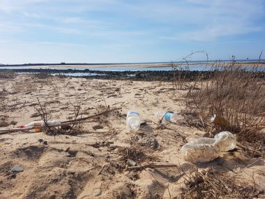 Plastik atıklar ve mikro plastikler Atlantik Okyanusu kıyısında yıkanmış.