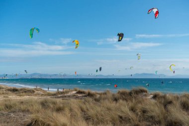 Birçok uçurtma sörfçüsü uçurtma paraşütleriyle Tarifa sahilinde havalanır.