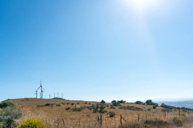 Rüzgâr türbinlerinin güneş ışığındaki ön görüntüsü