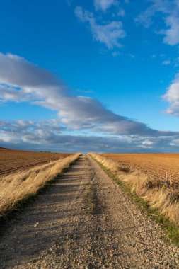 Endülüs 'te, Endülüs' te güzel bir çayırda tozlu bir yol.