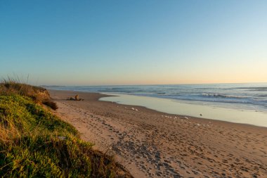 Bitkilerle dolu kıyı şeridi, mavi bir gökyüzü ve yazın gelen dalgalar.