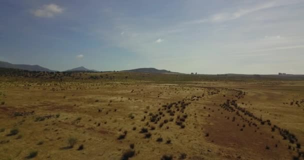 Überflug Einer Sehr Kargen Und Trockenen Landschaft Der Extremadura Südspanien — Stockvideo