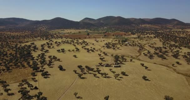 Überflug Einer Sehr Kargen Und Trockenen Landschaft Der Extremadura Südspanien — Stockvideo