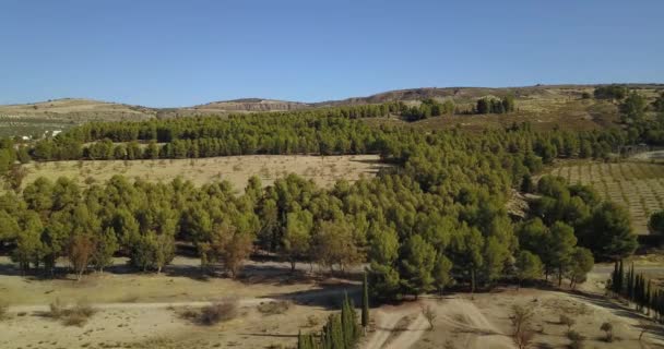 Sobrevoo Sobre Uma Paisagem Muito Árida Seca Estremadura Sul Espanha — Vídeo de Stock