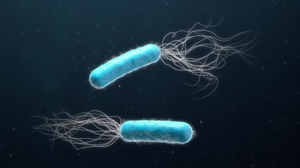 Duas Bactérias Pseudomonas Aeruginosa Resistentes Antibióticos Coloridas Azuis Ilustração — Vídeo de Stock