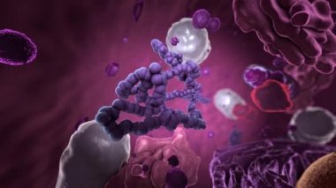 Eukaryote 'nin içindeki organizasyonlar, ribozomlara odaklanın - 3d illüstrasyon