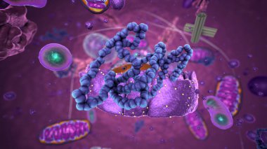 Organelles inside Eukaryote, focus on ribosomes - 3d illustration clipart