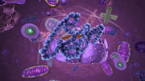 Organelles inside Eukaryote, focus on ribosomes - 3d illustration