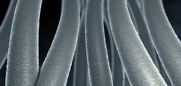 Saç yüzeyine yakın çekim - 3 boyutlu illüstrasyon