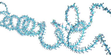 Ribonükleik asit zinciri, deoksiribonükleik asit veya DNA 'nın oluşturulduğu 3d illüstrasyon.